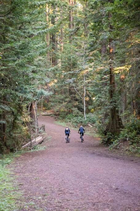 Downtown Digs-Sauna, Hot Tub, Bikes - Fun Times! Arcata Dış mekan fotoğraf